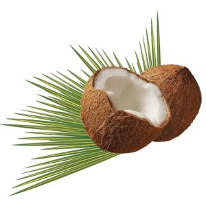 s-coconut-979858_640